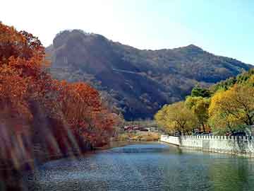 奥门天天开奖免费资料，双峰seo排名